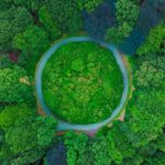 Design 4 A Circular Economy – Zirkuläres Wirtschaften als Motor für Produkt- und Prozess-Innovation